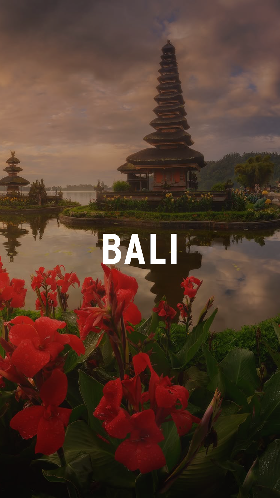 Bali Specialty Coffee · Caldera Kaffee