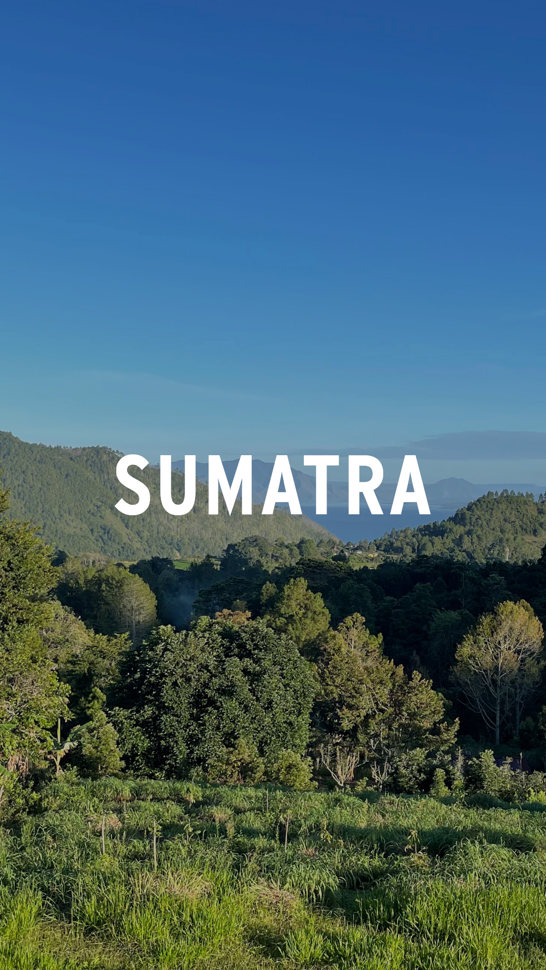 Sumatra Specialty Coffee · Caldera Kaffee