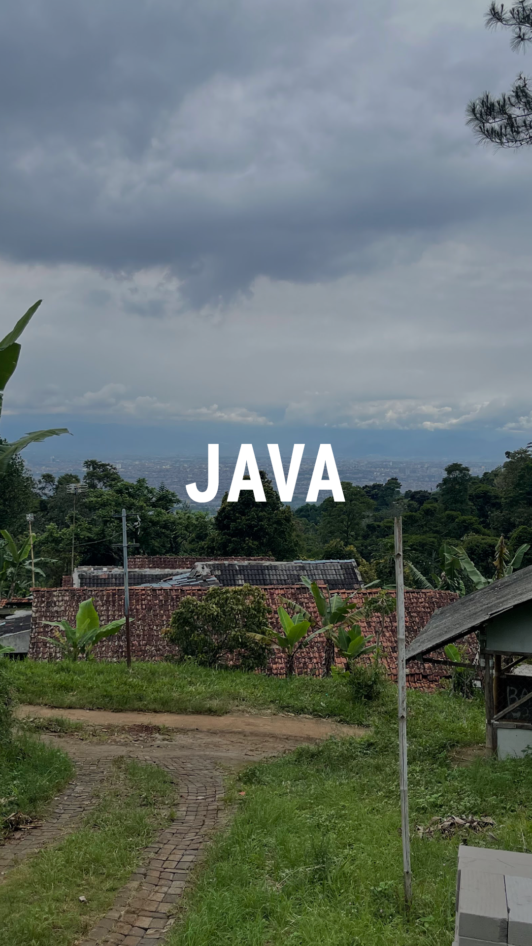 Java Specialty Coffee · Caldera Kaffee