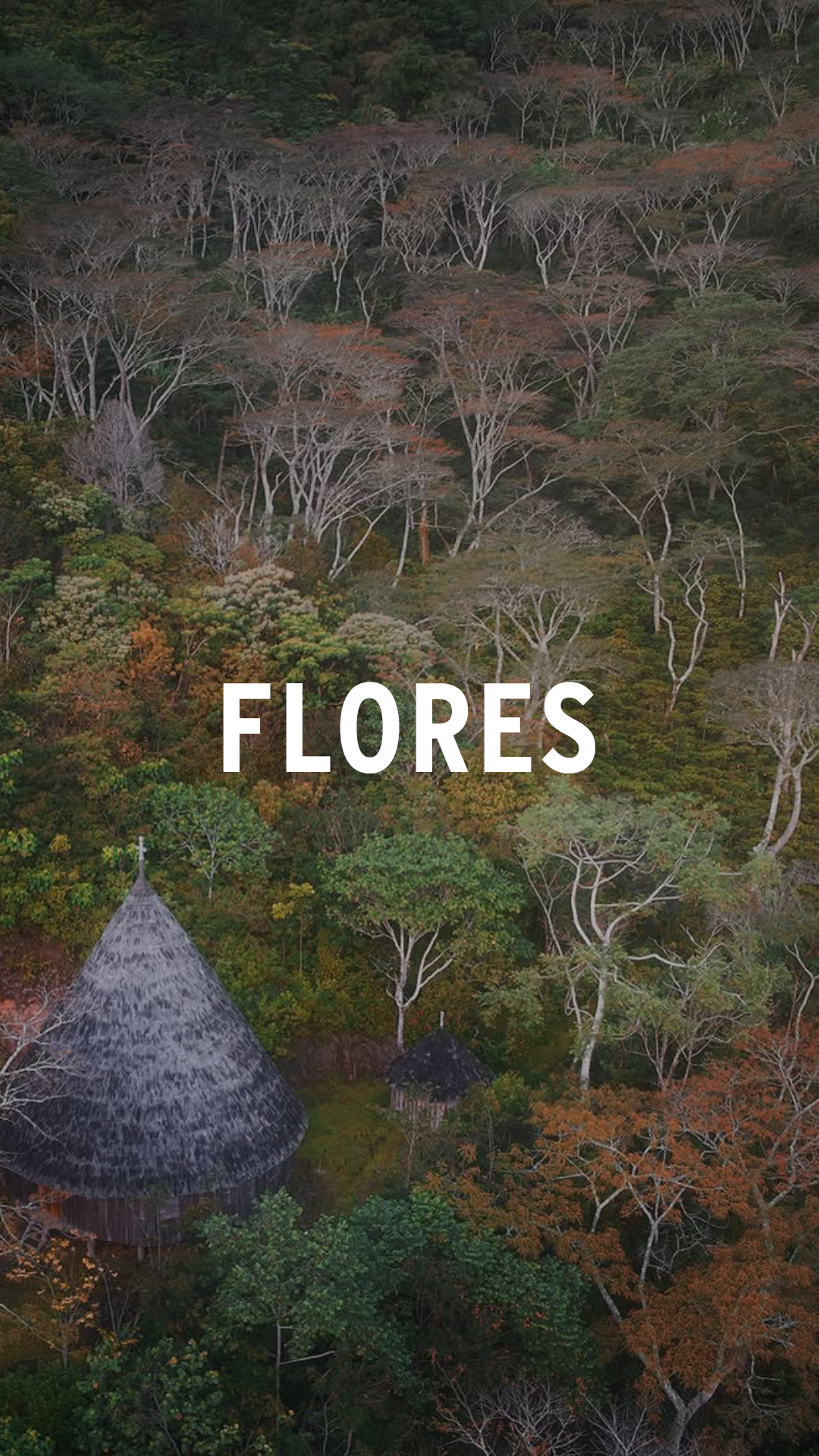 Flores Specialty Coffee · Caldera Kaffee