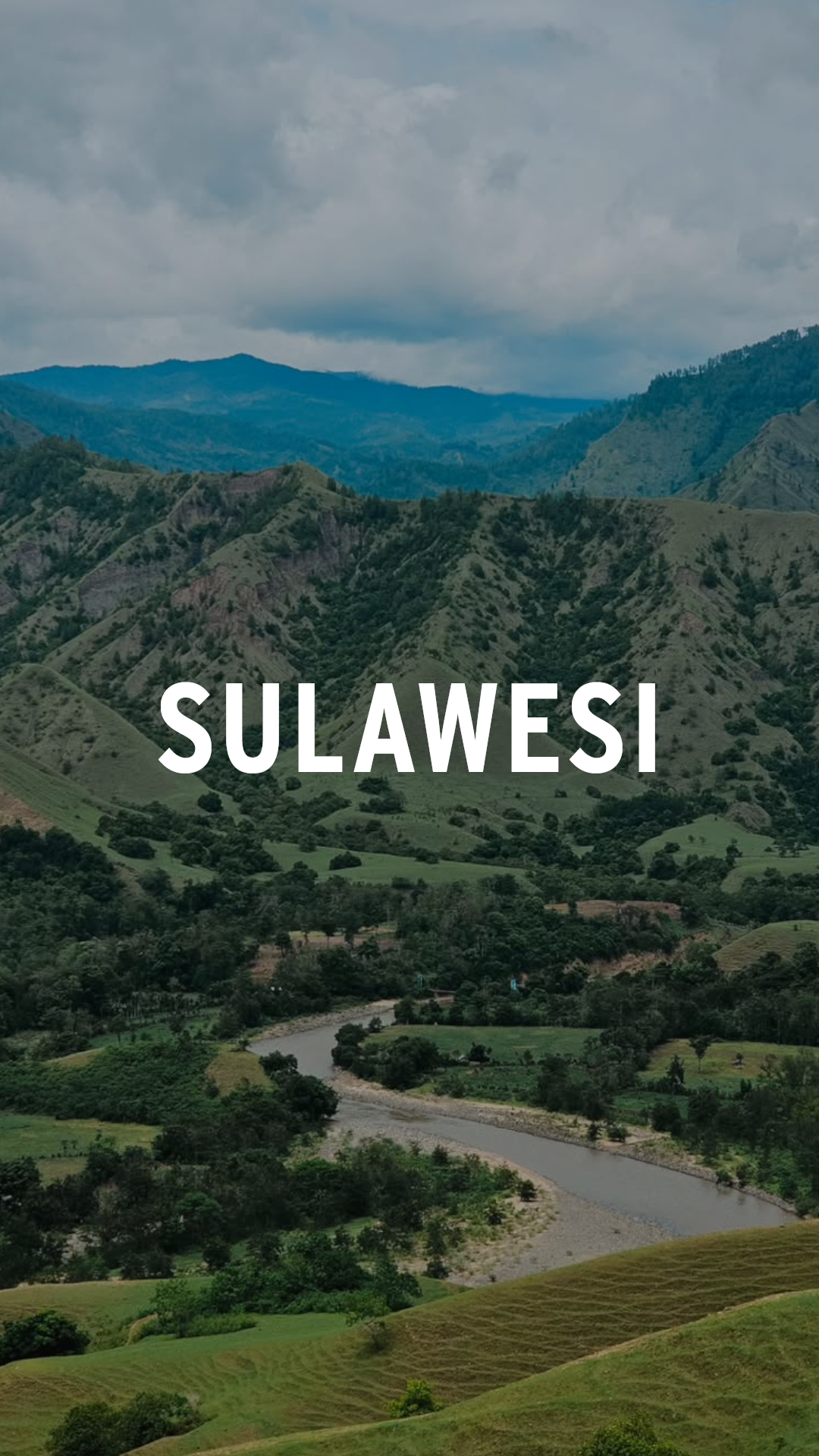 Sulawesi Specialty Coffee · Caldera Kaffee