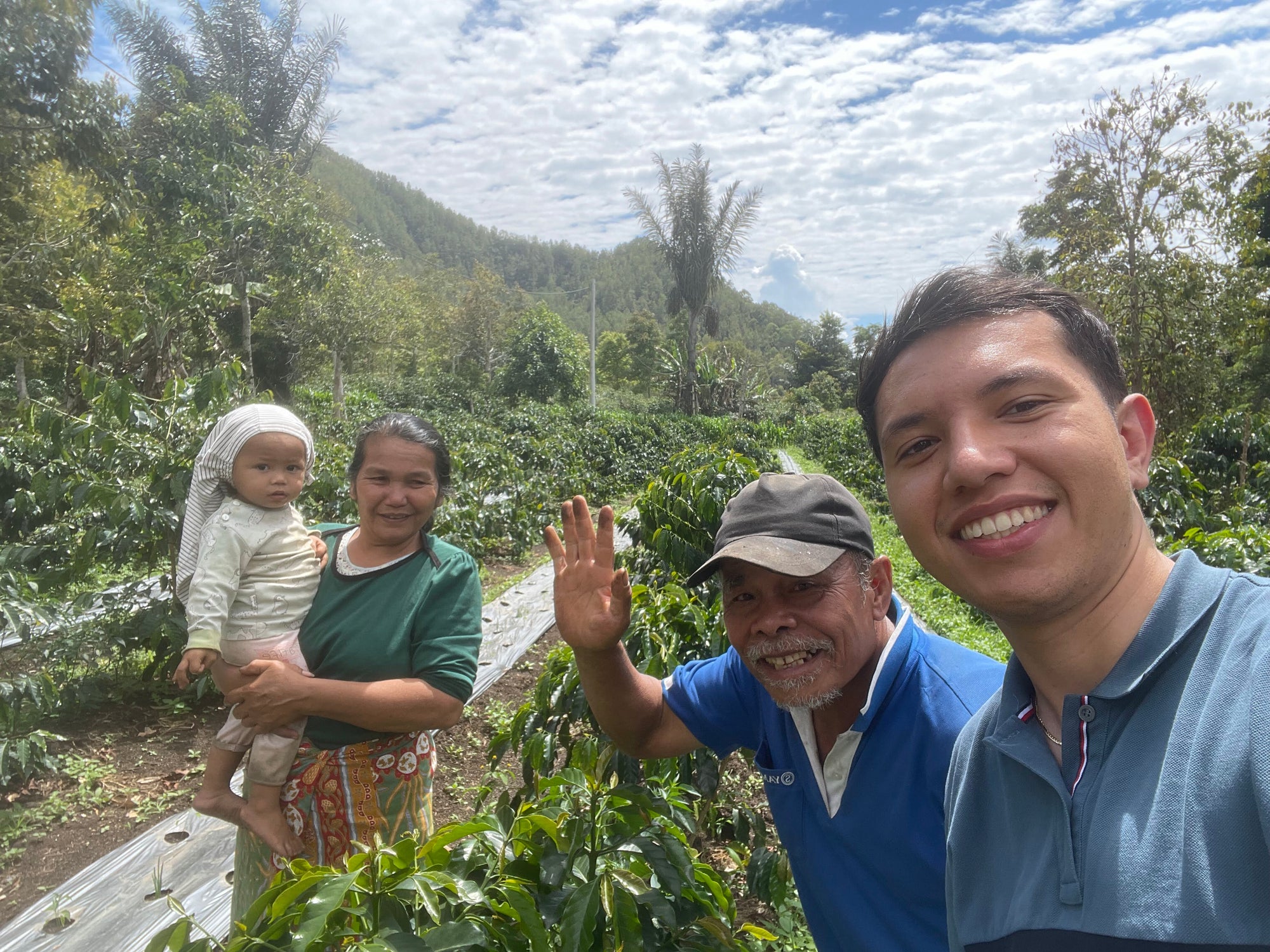 Dein eigener Kaffeebaum in Indonesien