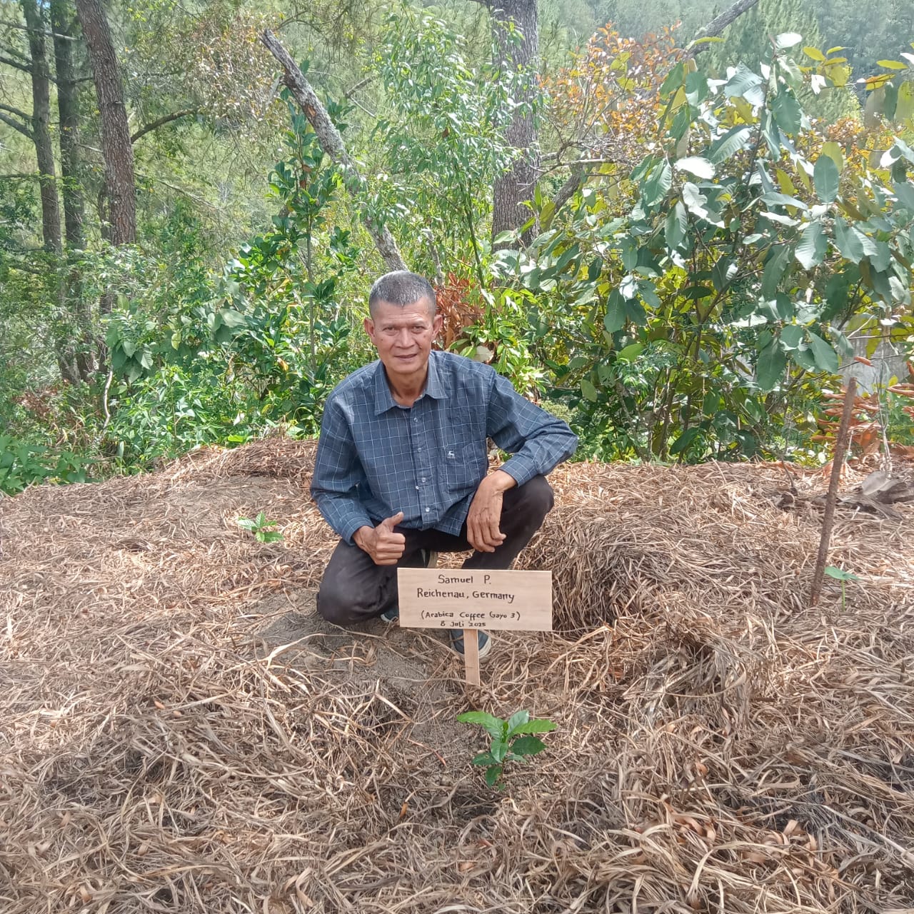 Dein eigener Kaffeebaum in Indonesien