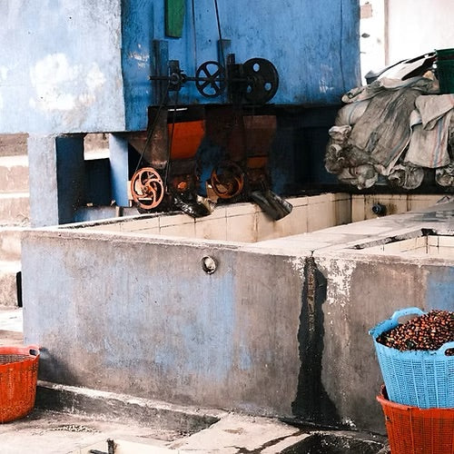 Coco Macan - Espresso